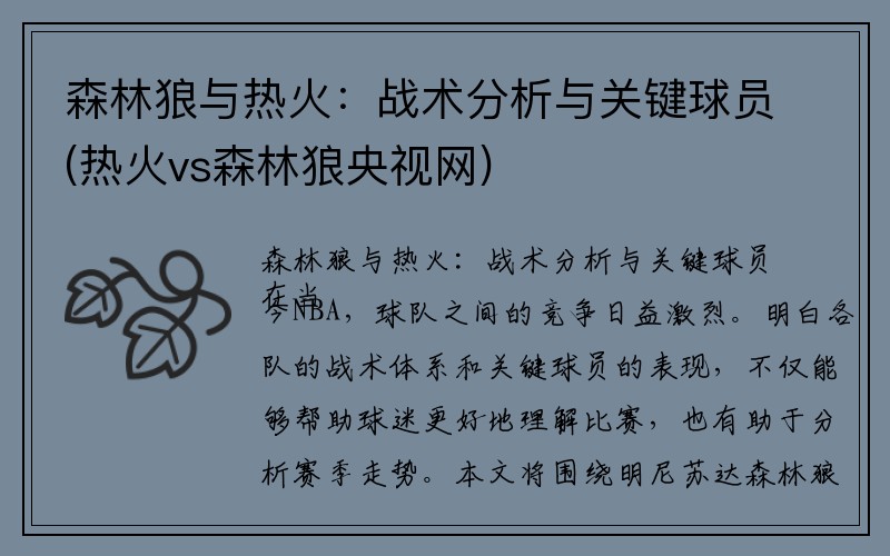 森林狼与热火：战术分析与关键球员(热火vs森林狼央视网)