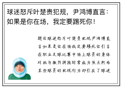 球迷怒斥叶楚贵犯规，尹鸿博直言：如果是你在场，我定要踢死你！