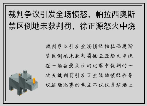 裁判争议引发全场愤怒，帕拉西奥斯禁区倒地未获判罚，徐正源怒火中烧！