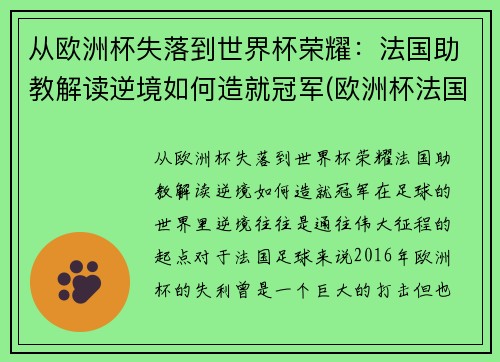 从欧洲杯失落到世界杯荣耀：法国助教解读逆境如何造就冠军(欧洲杯法国队冠军)